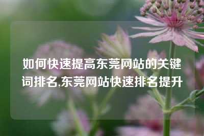 如何快速提高东莞网站的关键词排名,东莞网站快速排名提升