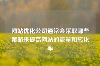 网站优化公司通常会采取哪些策略来提高网站的流量和转化率