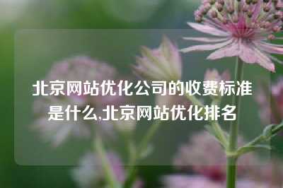 北京网站优化公司的收费标准是什么,北京网站优化排名