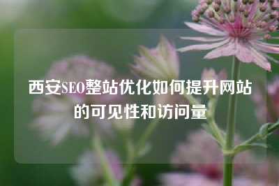 西安SEO整站优化如何提升网站的可见性和访问量