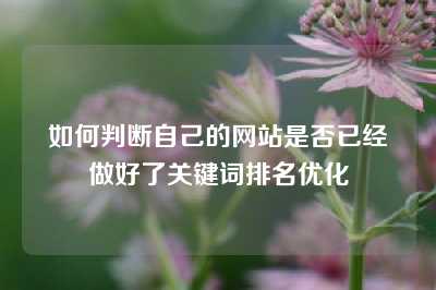 如何判断自己的网站是否已经做好了关键词排名优化