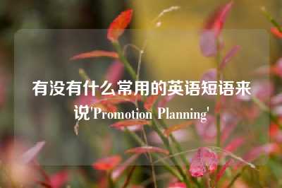 有没有什么常用的英语短语来说'Promotion Planning'