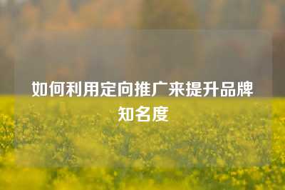 如何利用定向推广来提升品牌知名度