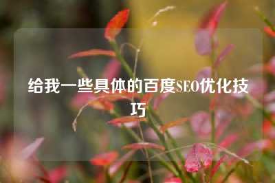 给我一些具体的百度SEO优化技巧