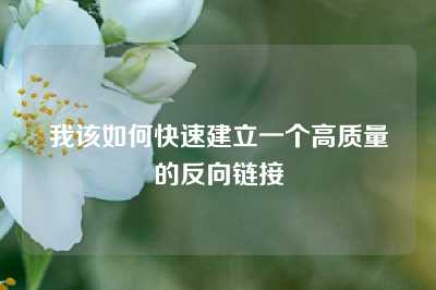 我该如何快速建立一个高质量的反向链接