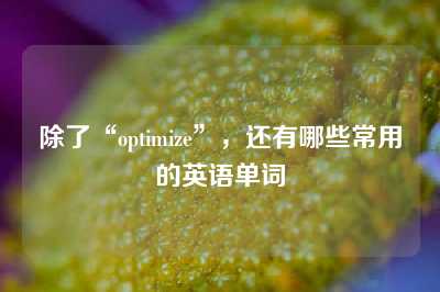 除了“optimize”，还有哪些常用的英语单词