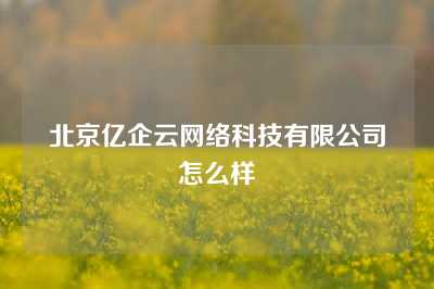 北京亿企云网络科技有限公司怎么样