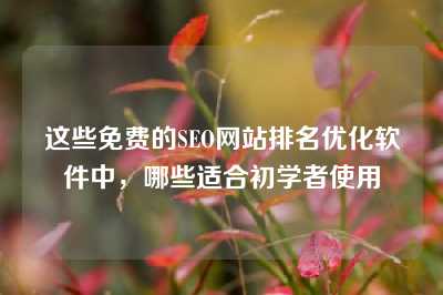 这些免费的SEO网站排名优化软件中，哪些适合初学者使用