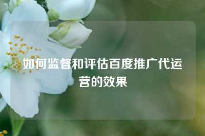 如何监督和评估百度推广代运营的效果