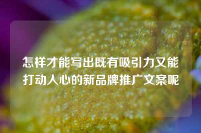 怎样才能写出既有吸引力又能打动人心的新品牌推广文案呢