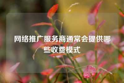 网络推广服务商通常会提供哪些收费模式