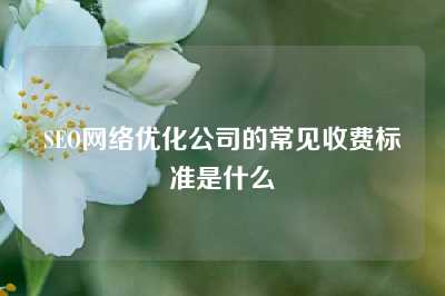 SEO网络优化公司的常见收费标准是什么