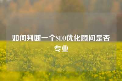 如何判断一个SEO优化顾问是否专业