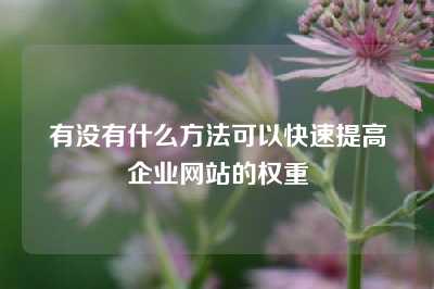 有没有什么方法可以快速提高企业网站的权重