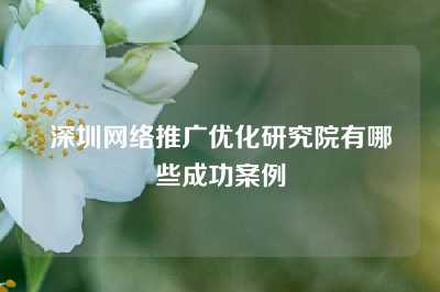 深圳网络推广优化研究院有哪些成功案例