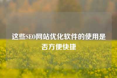 这些SEO网站优化软件的使用是否方便快捷