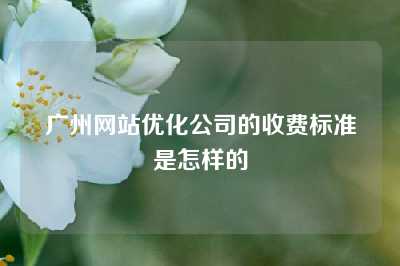 广州网站优化公司的收费标准是怎样的