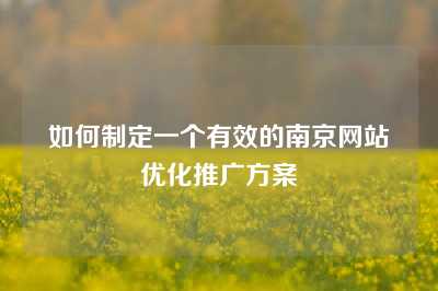 如何制定一个有效的南京网站优化推广方案