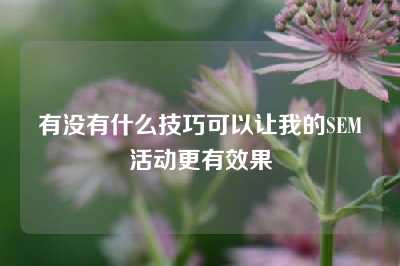 有没有什么技巧可以让我的SEM活动更有效果