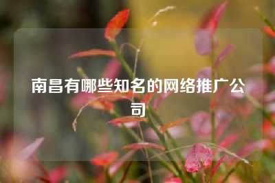 南昌有哪些知名的网络推广公司