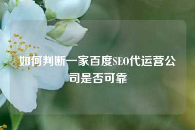 如何判断一家百度SEO代运营公司是否可靠