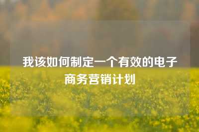 我该如何制定一个有效的电子商务营销计划