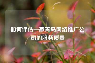 如何评估一家青岛网络推广公司的服务质量