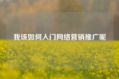 我该如何入门网络营销推广呢