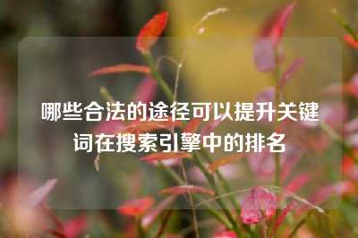 哪些合法的途径可以提升关键词在搜索引擎中的排名