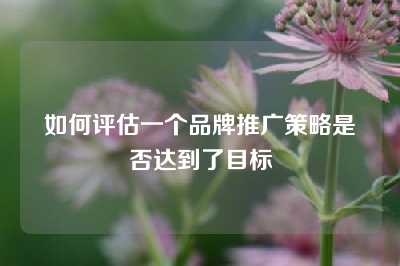 如何评估一个品牌推广策略是否达到了目标