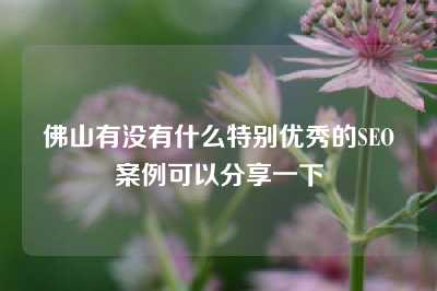 佛山有没有什么特别优秀的SEO案例可以分享一下