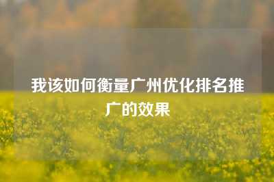 我该如何衡量广州优化排名推广的效果