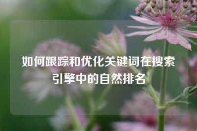 如何跟踪和优化关键词在搜索引擎中的自然排名