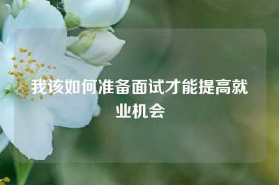 我该如何准备面试才能提高就业机会