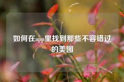 如何在app里找到那些不容错过的美图