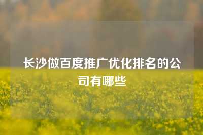 长沙做百度推广优化排名的公司有哪些