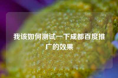 我该如何测试一下成都百度推广的效果