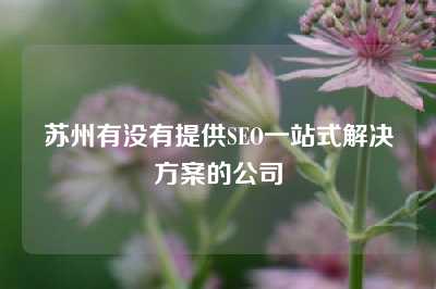 苏州有没有提供SEO一站式解决方案的公司