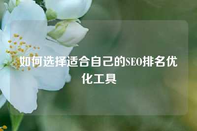 如何选择适合自己的SEO排名优化工具