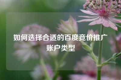 如何选择合适的百度竞价推广账户类型