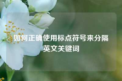 如何正确使用标点符号来分隔英文关键词