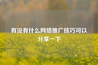 有没有什么网络推广技巧可以分享一下