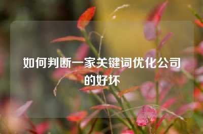 如何判断一家关键词优化公司的好坏