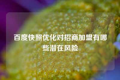 百度快照优化对招商加盟有哪些潜在风险