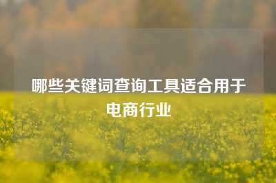 哪些关键词查询工具适合用于电商行业