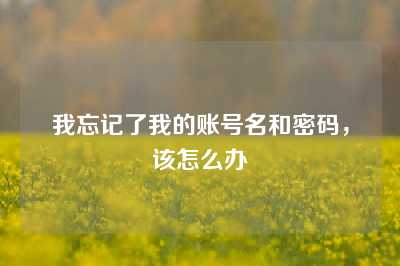 我忘记了我的账号名和密码，该怎么办