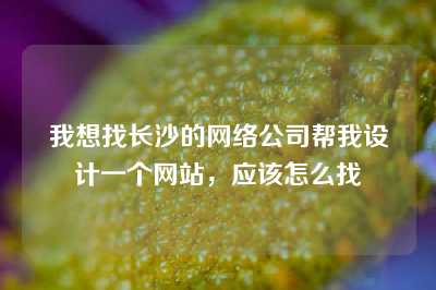 我想找长沙的网络公司帮我设计一个网站，应该怎么找