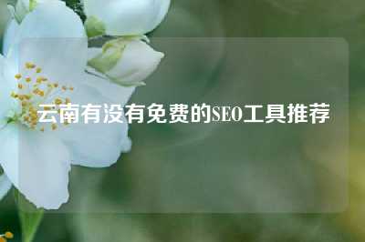 云南有没有免费的SEO工具推荐