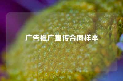 广告推广宣传合同样本