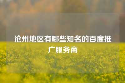 沧州地区有哪些知名的百度推广服务商